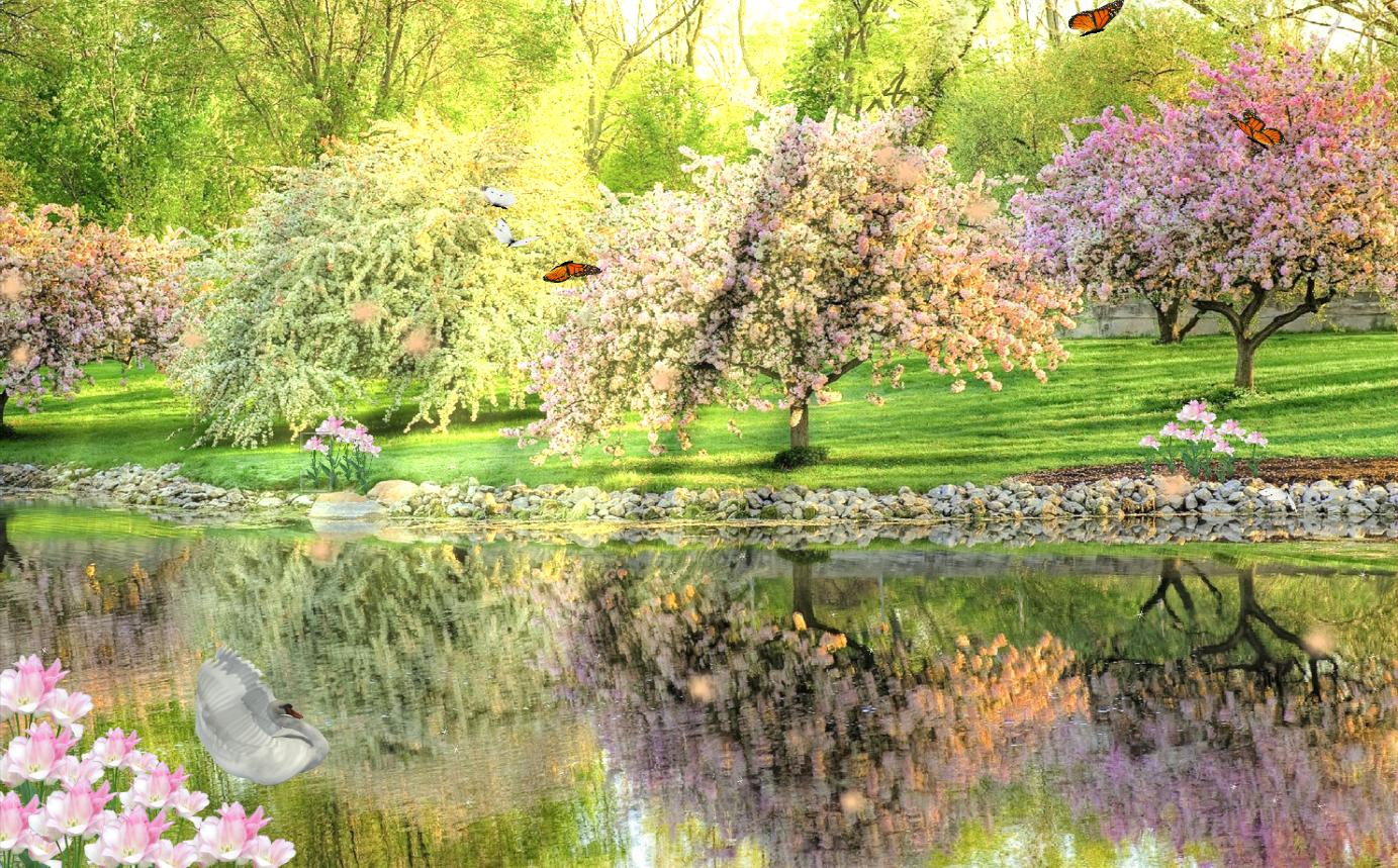 Swan Paradise Animated Wallpaper - Animated Swan - HD Wallpaper 