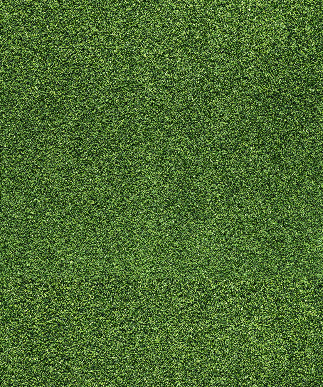 Artificial Turf - HD Wallpaper 