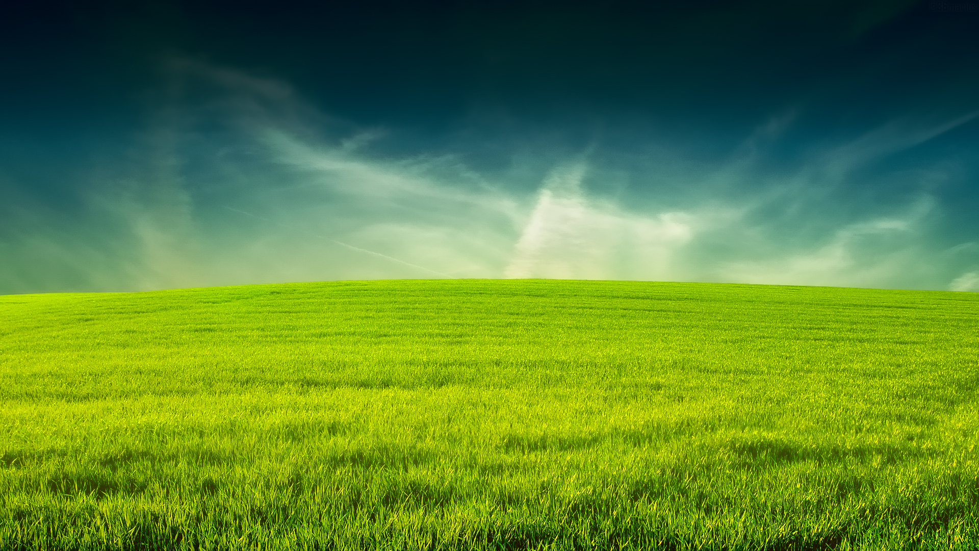 Grass Background - HD Wallpaper 