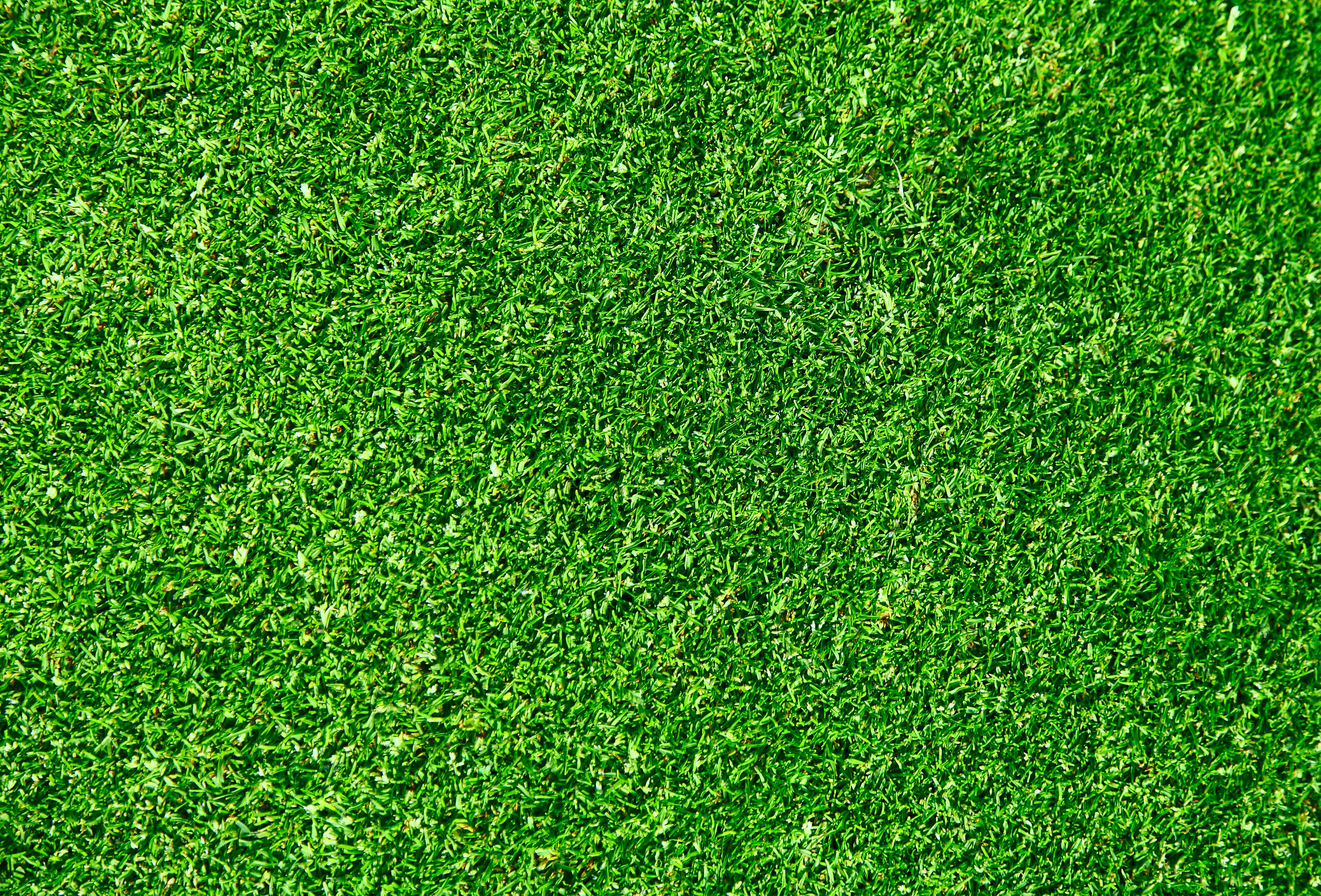 High Resolution Green Grass Background Hd - 3537x2400 Wallpaper 