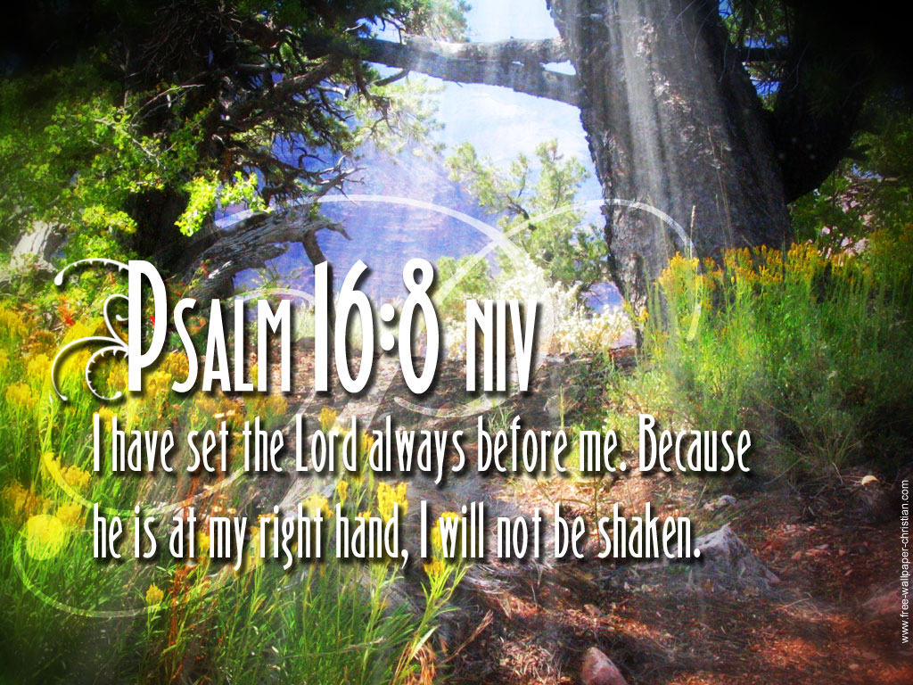 Psalm 16 - 8 Wallpaper - Bible Verses Psalm 16 8 - HD Wallpaper 