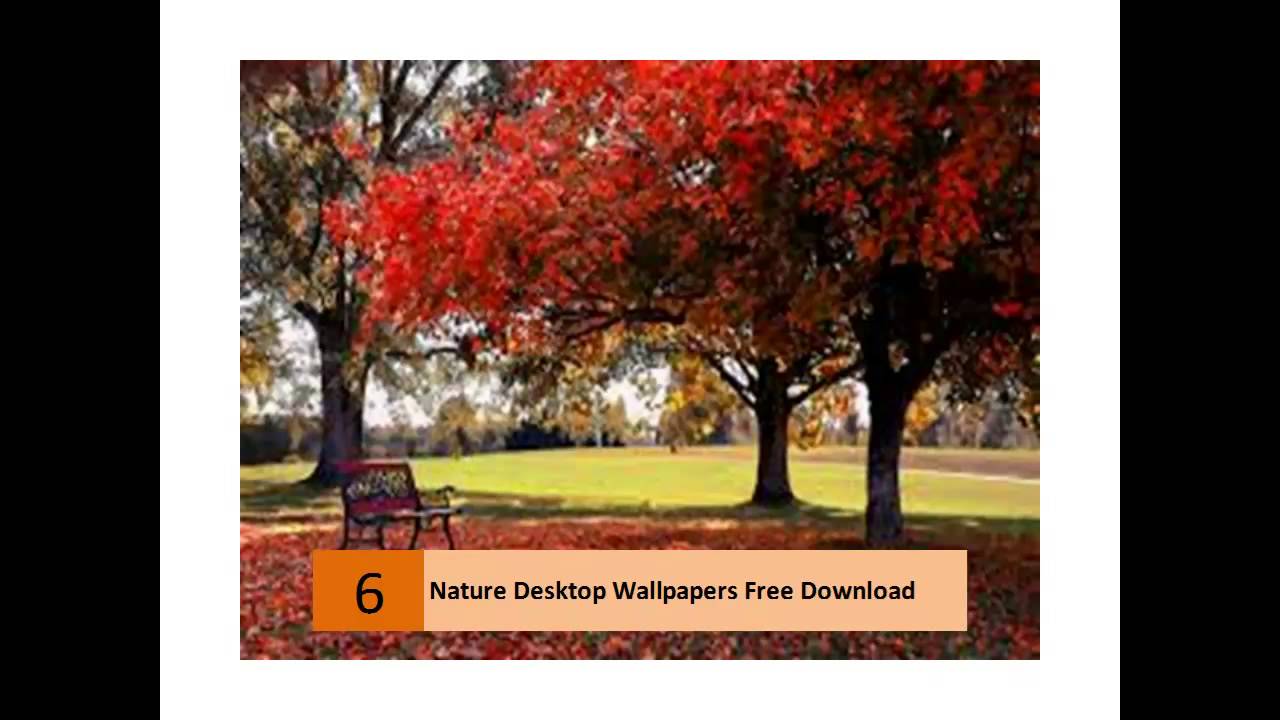 Beauty Of The Nature Autumn - HD Wallpaper 