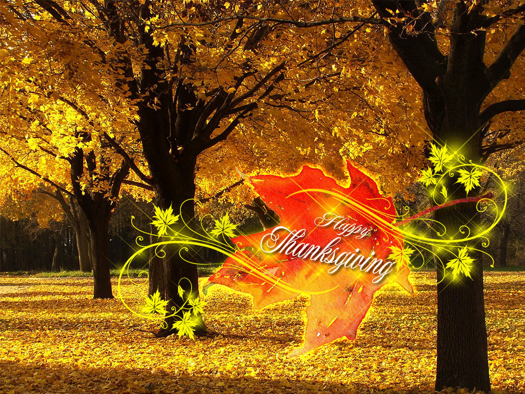 Thanksgiving Desktop Backgrounds - HD Wallpaper 