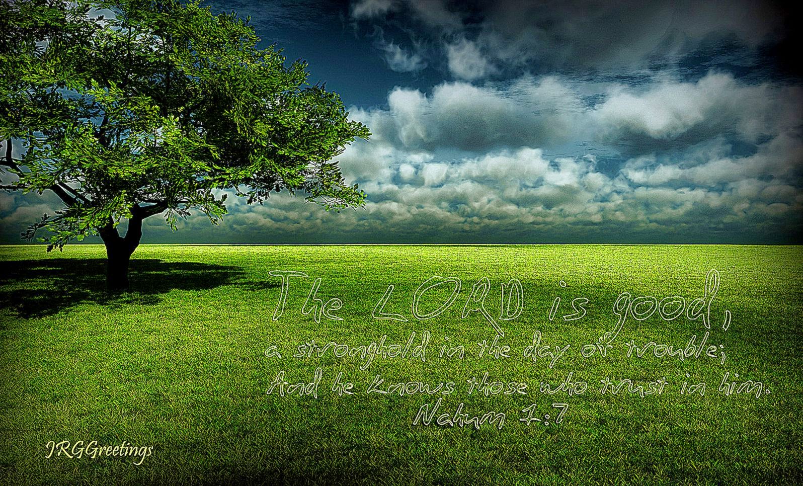 3d Nature Background - HD Wallpaper 