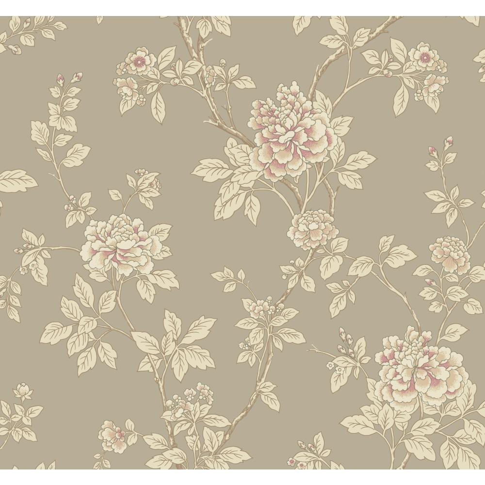 Chinese Peony - HD Wallpaper 