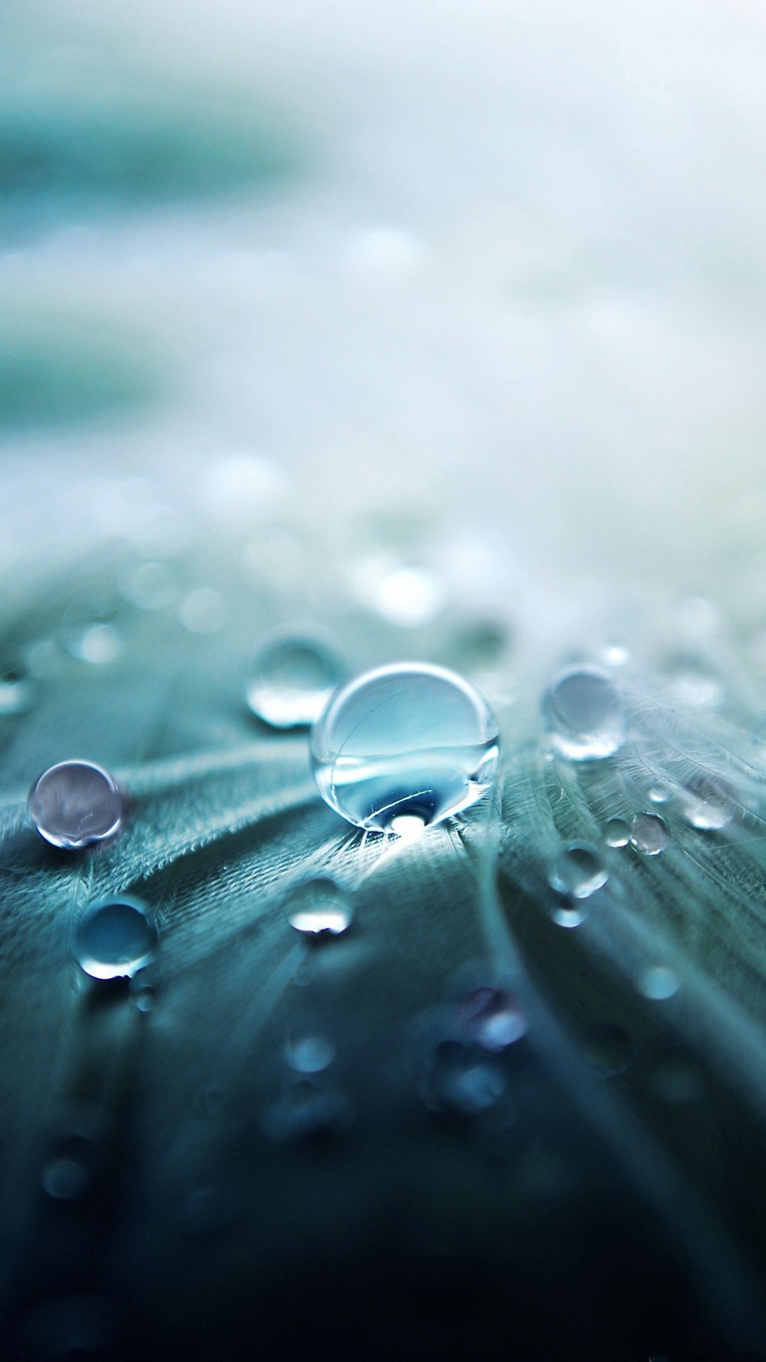 Water Drops On Feather Macro Hd Desktop Wallpaper - Water Wallpaper Hd Full Screen - HD Wallpaper 