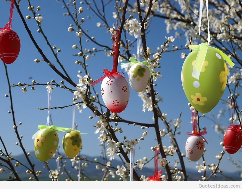 Spring Blossoms Easter Eggs Free Easter Wallpaper - Arbre Aux Oeufs De Paques - HD Wallpaper 