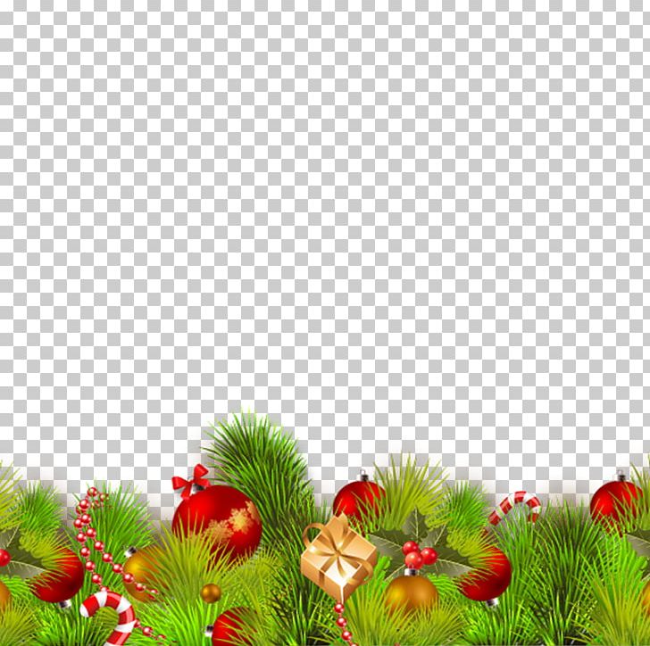Christmas Computer File Png, Clipart, Branch, Christmas, - Lemongrass Png - HD Wallpaper 