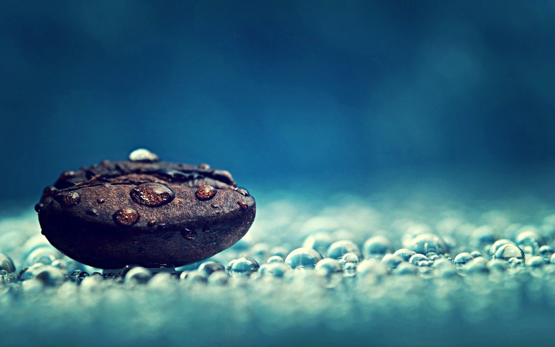 Water Drop Hd Wallpapers Wallpaper 1119ã853 Droplet - Water Drops On Rock - HD Wallpaper 