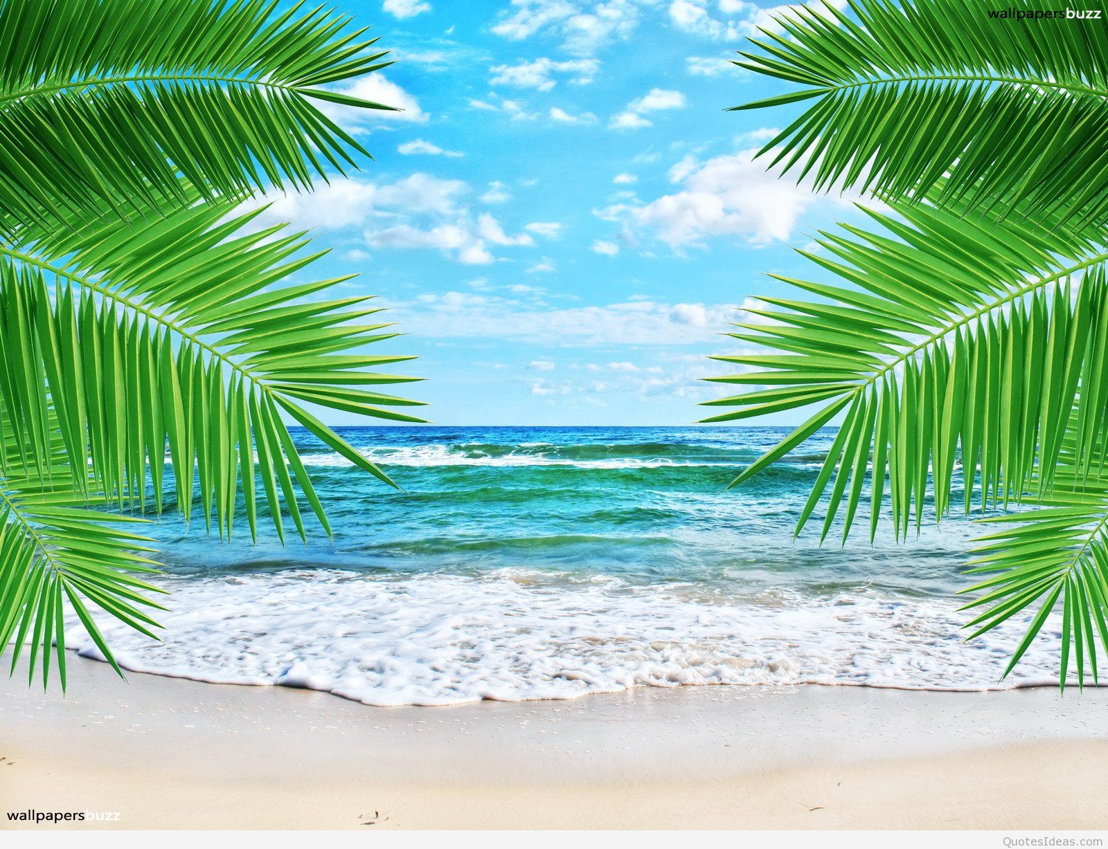 Summer Beach Wallpaper - High Resolution Tropical Beach Background -  1600x1227 Wallpaper 