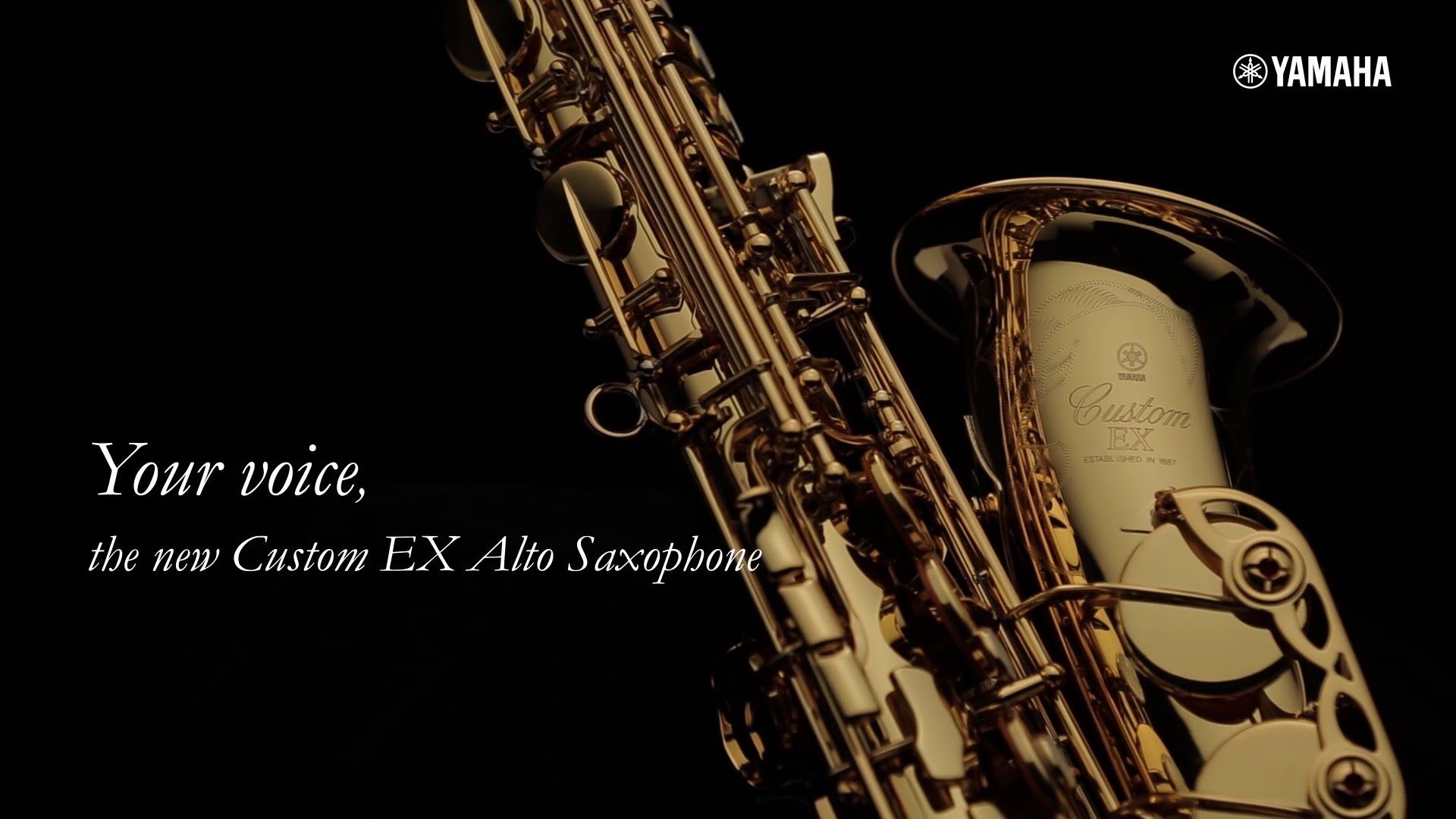 Alto Sax Wallpaper - Alto Saxophone - HD Wallpaper 
