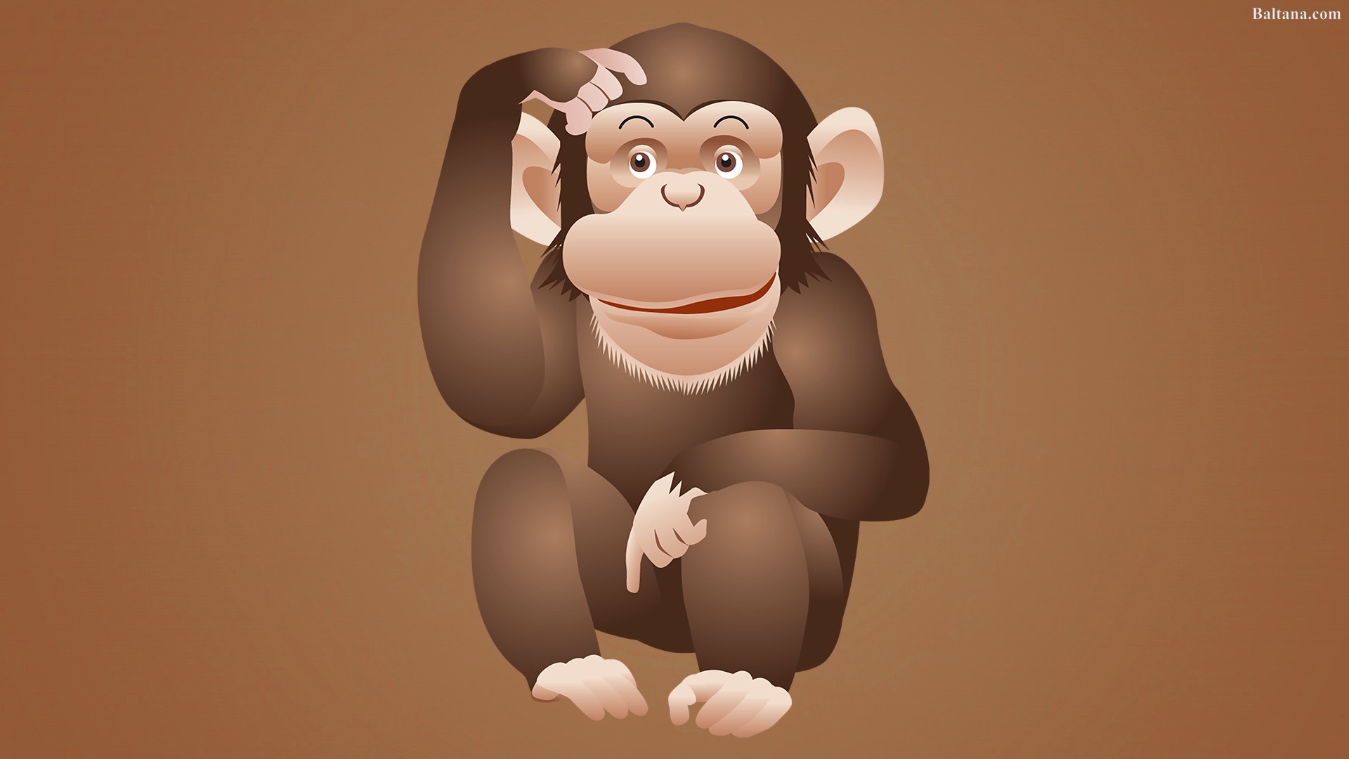 Monkey Hd Wallpaper - Monkey Wallpaper Cartoon Monkey Images Hd - HD Wallpaper 