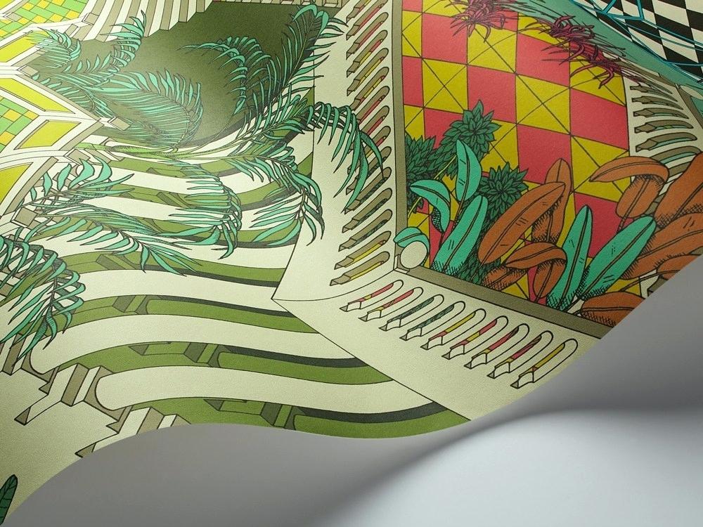 Cole Son Wallpaper Black And White Frames Nz Cole And Son Miami