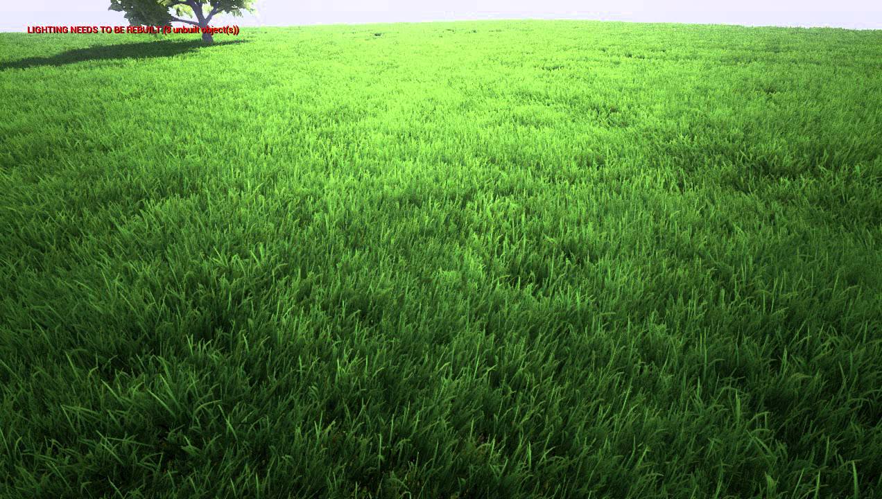 Grass Background Wallpaper - Lawn - HD Wallpaper 