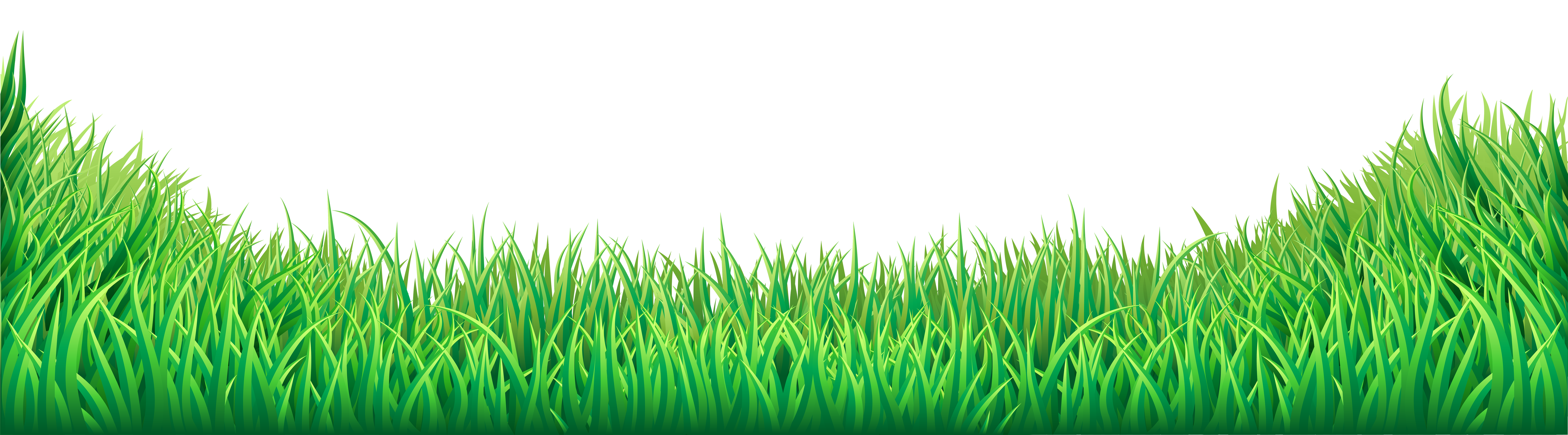 Grass, Lawn - HD Wallpaper 