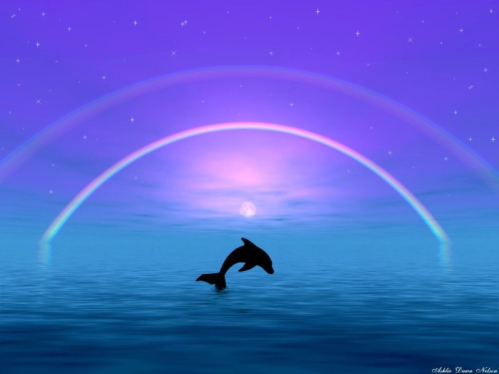 Cute Pics Of Dolphins 1024x768 Wallpaper Teahub Io