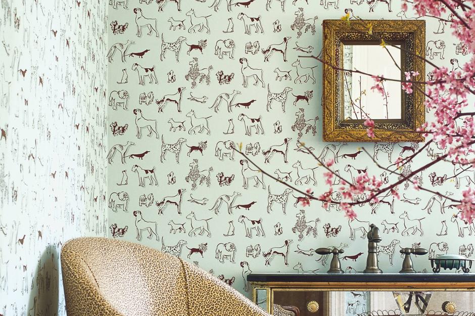 Dog Wallpaper In Room - HD Wallpaper 