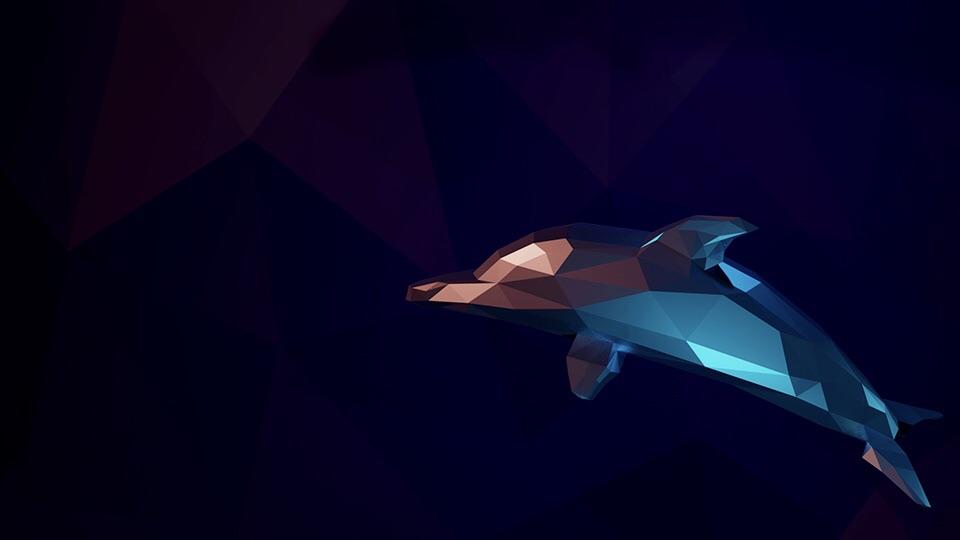 Bottlenose Dolphin - HD Wallpaper 