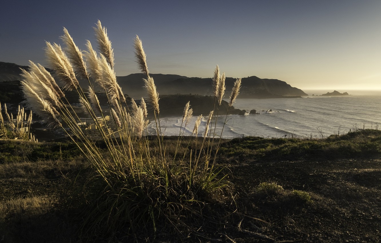 Photo Wallpaper Sand, Shore, Dry Grass - Sea - 1332x850 Wallpaper