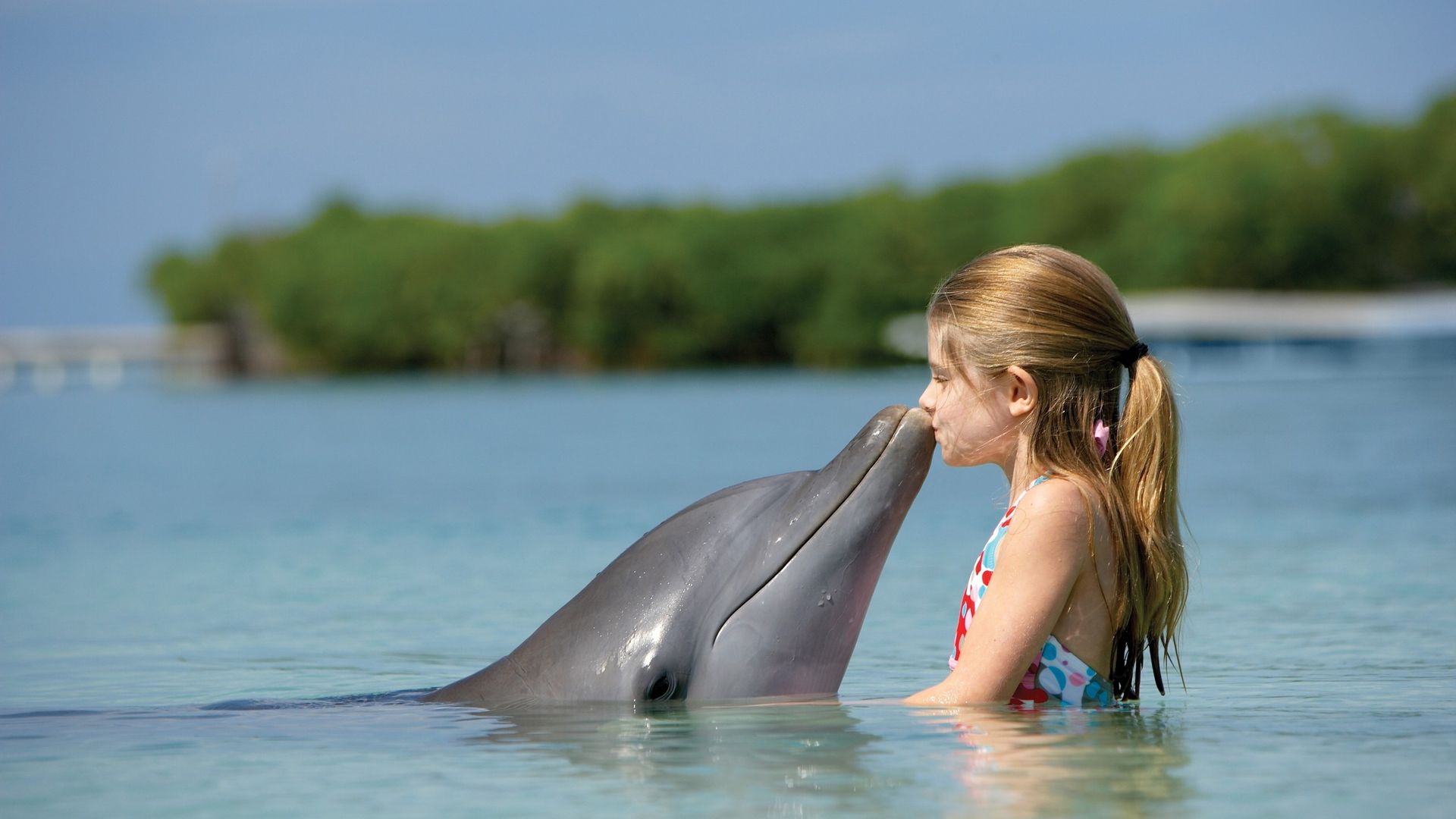 Cute Child With Dolphin - Dolphin Hd Wallpapers 1080p - 1920x1080 Wallpaper  