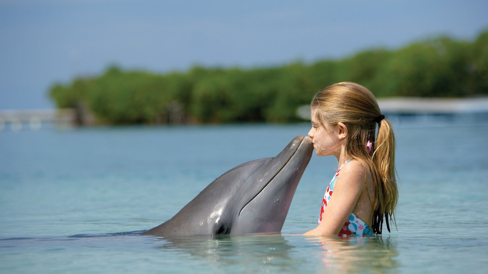 Cute Child With Dolphin - Dolphin Hd Wallpapers 1080p - HD Wallpaper 