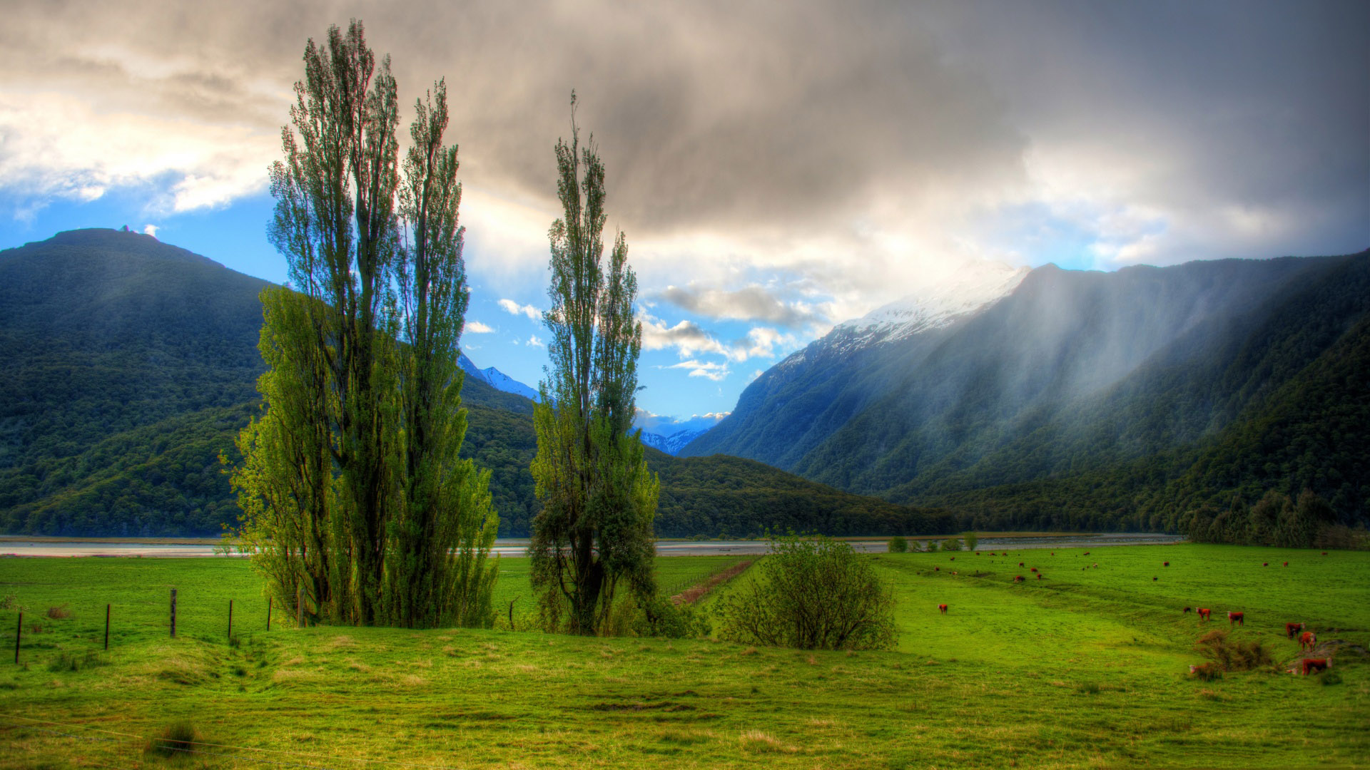 New Zealand Landscape Hd - HD Wallpaper 
