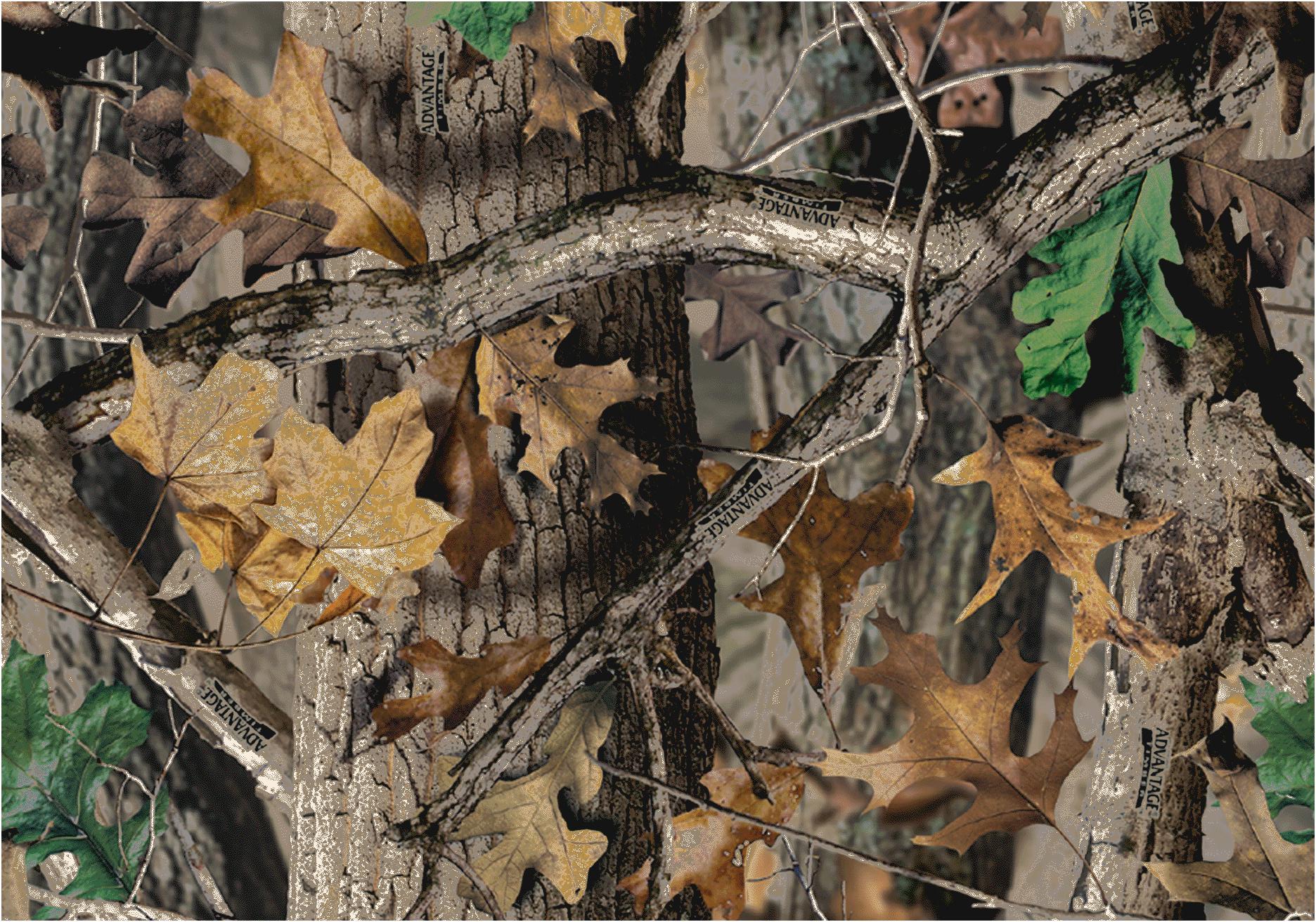 Realtree Camo Wallpaper - Realtree Camo Background - HD Wallpaper 