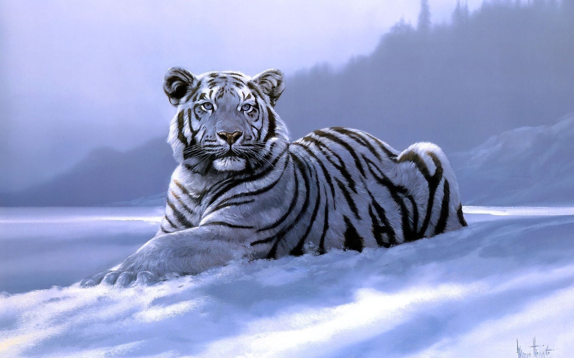 1920x1200, White Tiger Wallpapers - Snow Tiger Wallpaper Hd - HD Wallpaper 