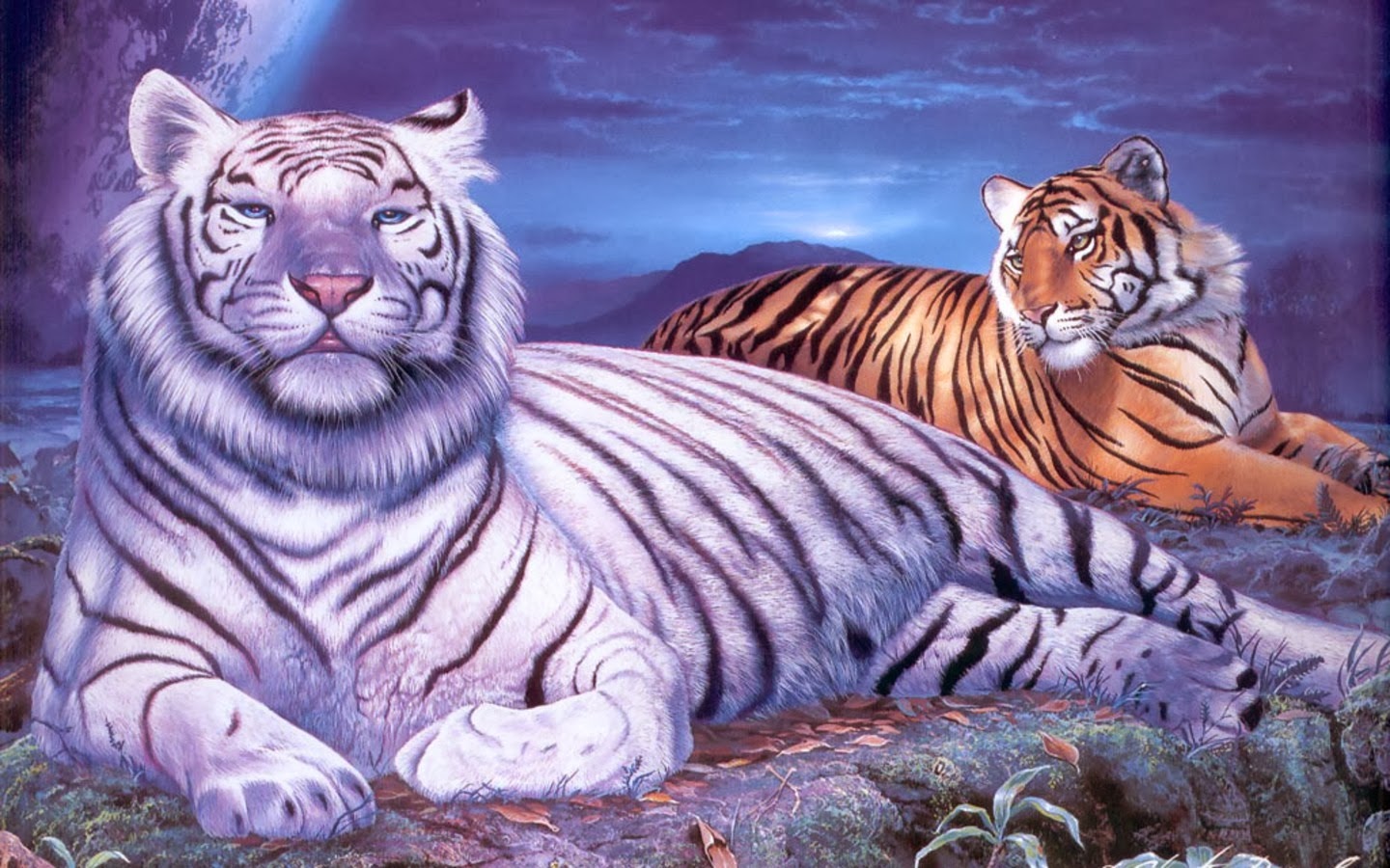 White Tiger Wallpaper Free - Purple Tiger Wallpaper Hd - HD Wallpaper 