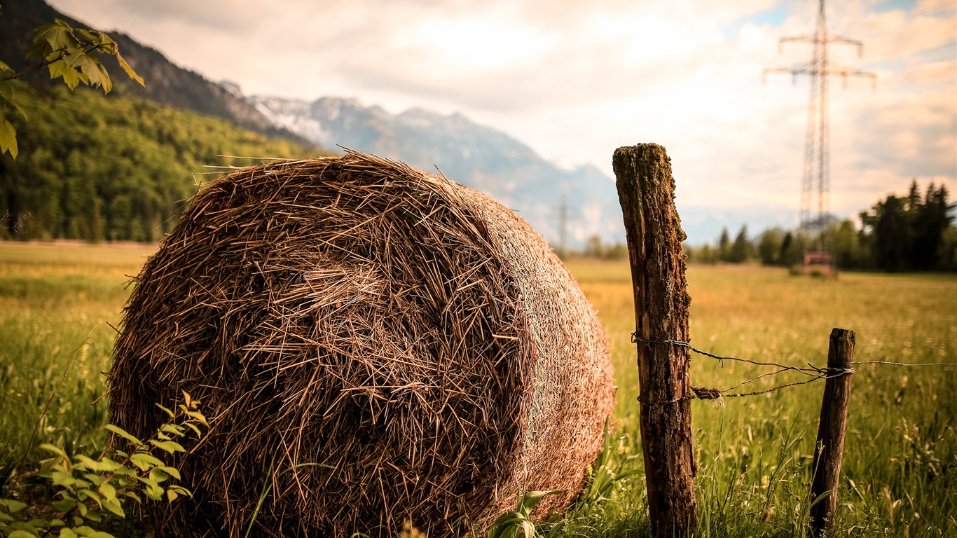 Countryside Farmland Grass Harvest Outdoors-2017 Scenery - Landscape Pictures Hay Bales - HD Wallpaper 