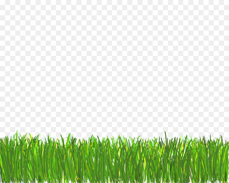Wallpaper - HD Wallpaper 