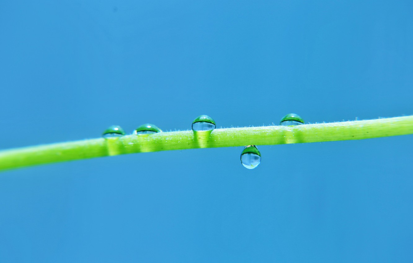 Drop - HD Wallpaper 