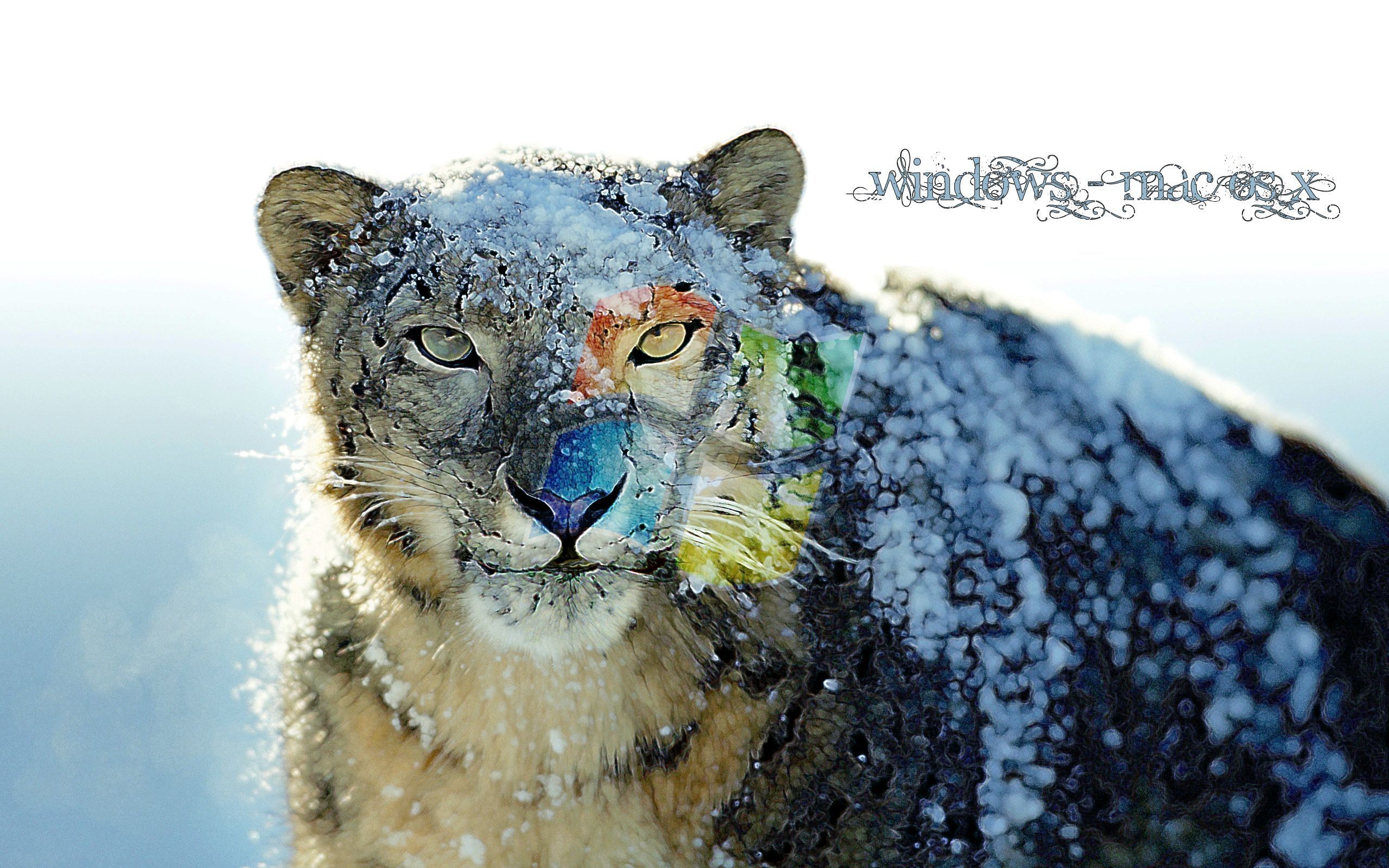 Pin Snow Leopard Clipart Hd Wallpaper - Winter Snow Leopard - HD Wallpaper 