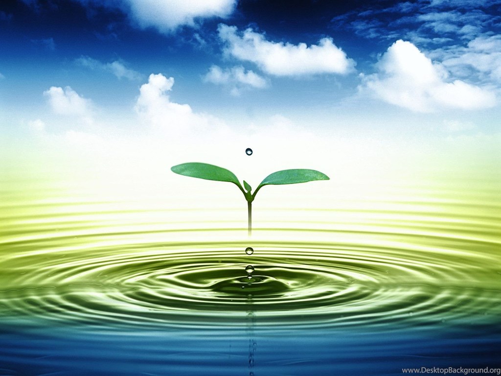 3d Leaves And Water Drop Wallpapers - Hd Water Drop Leaf - HD Wallpaper 