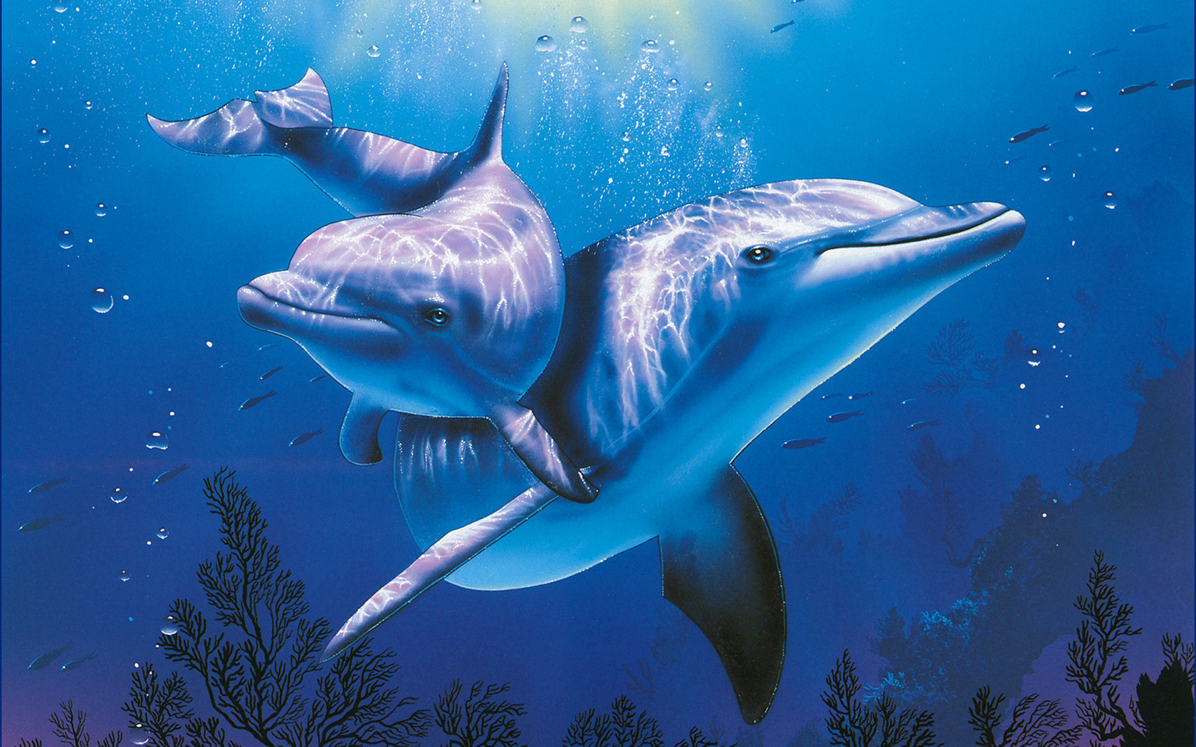 Dolphin Wallpaper Hd - Dolphin Background - HD Wallpaper 