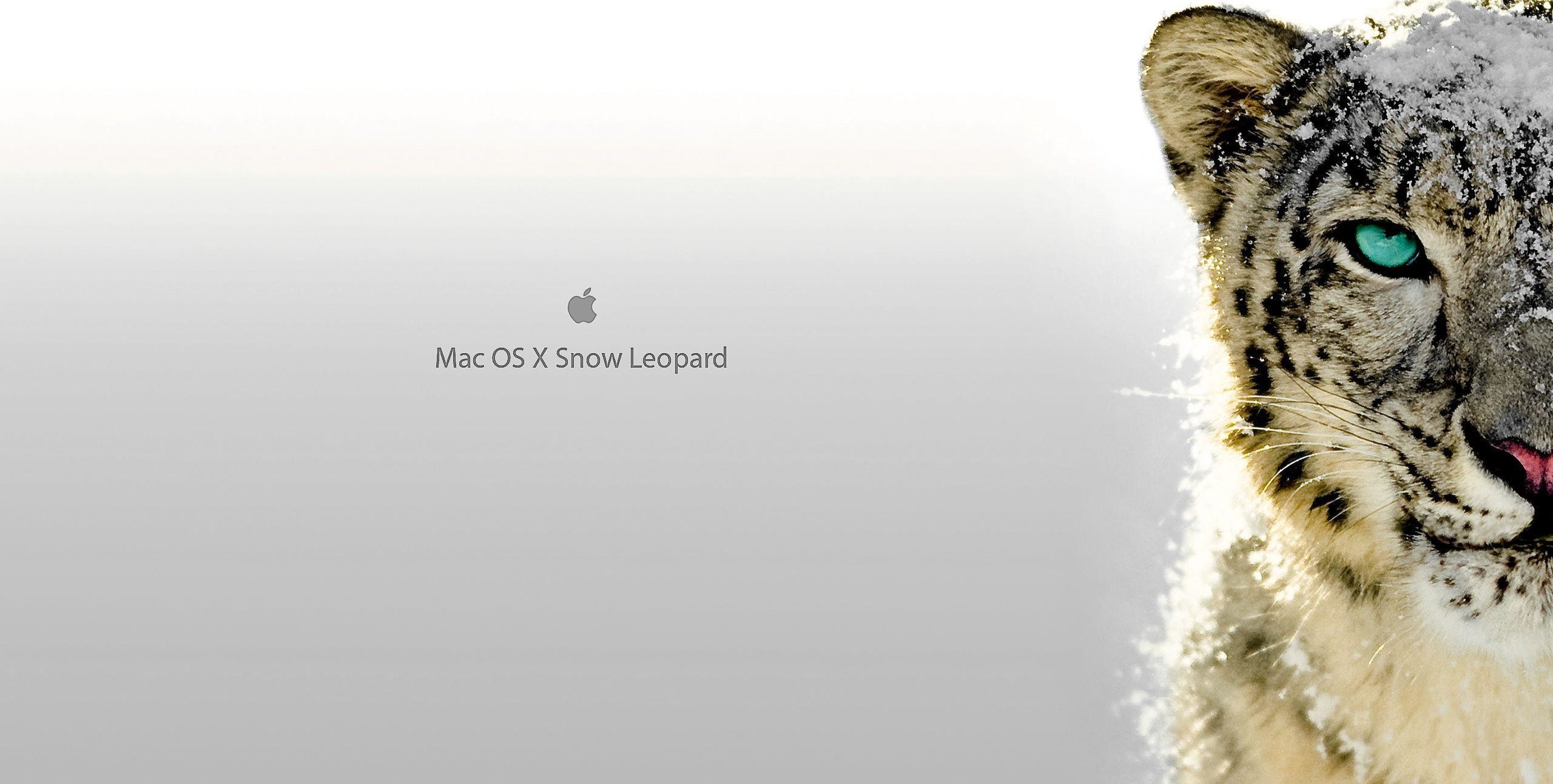 Wallpapers For > Mac Leopard Wallpaper 
 Src Os X Snow - Snow Leopar Mac Os - HD Wallpaper 