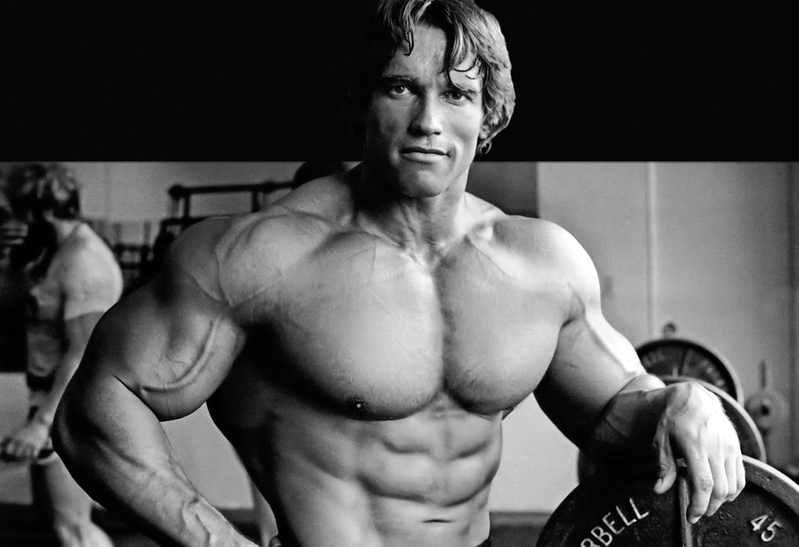 Arnold Schwarzenegger - HD Wallpaper 