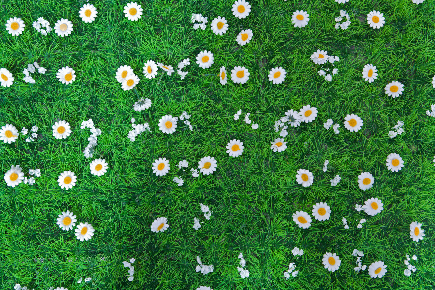 Print A Wallpaper - Green Grass With Flowers - HD Wallpaper 