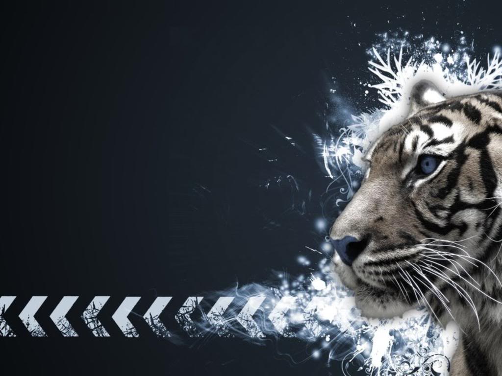 White Tiger Wallpaper High Resolution - Cool Tiger Backgrounds - HD Wallpaper 