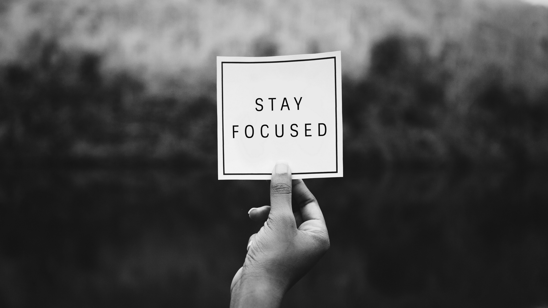 Wallpaper Focus, Inscription, Hand, Bw - Self Motivation - HD Wallpaper 