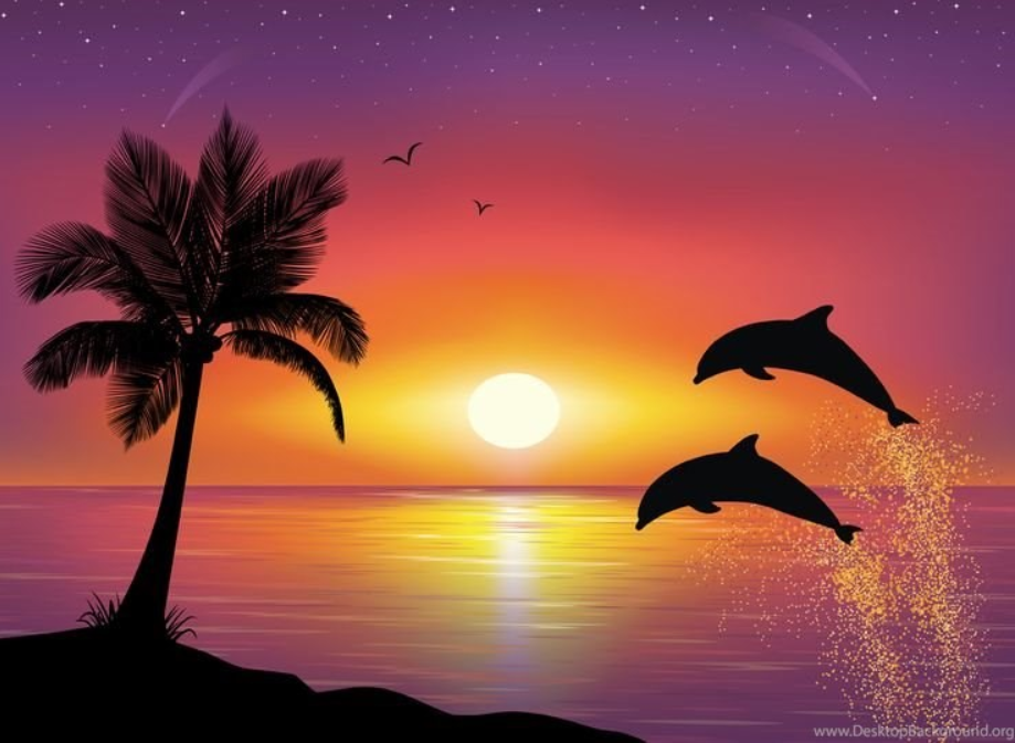 Beach Sunset With Dolphins - HD Wallpaper 