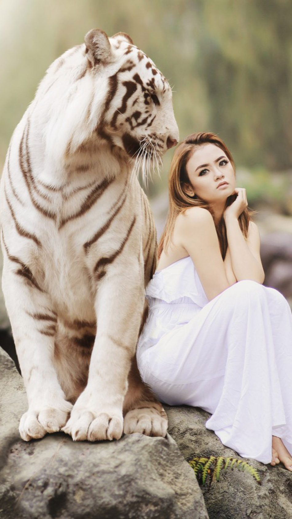 Asian Model With White Tiger Photoshoot Hd Mobile Wallpaper - White Tiger With A Girl - HD Wallpaper 