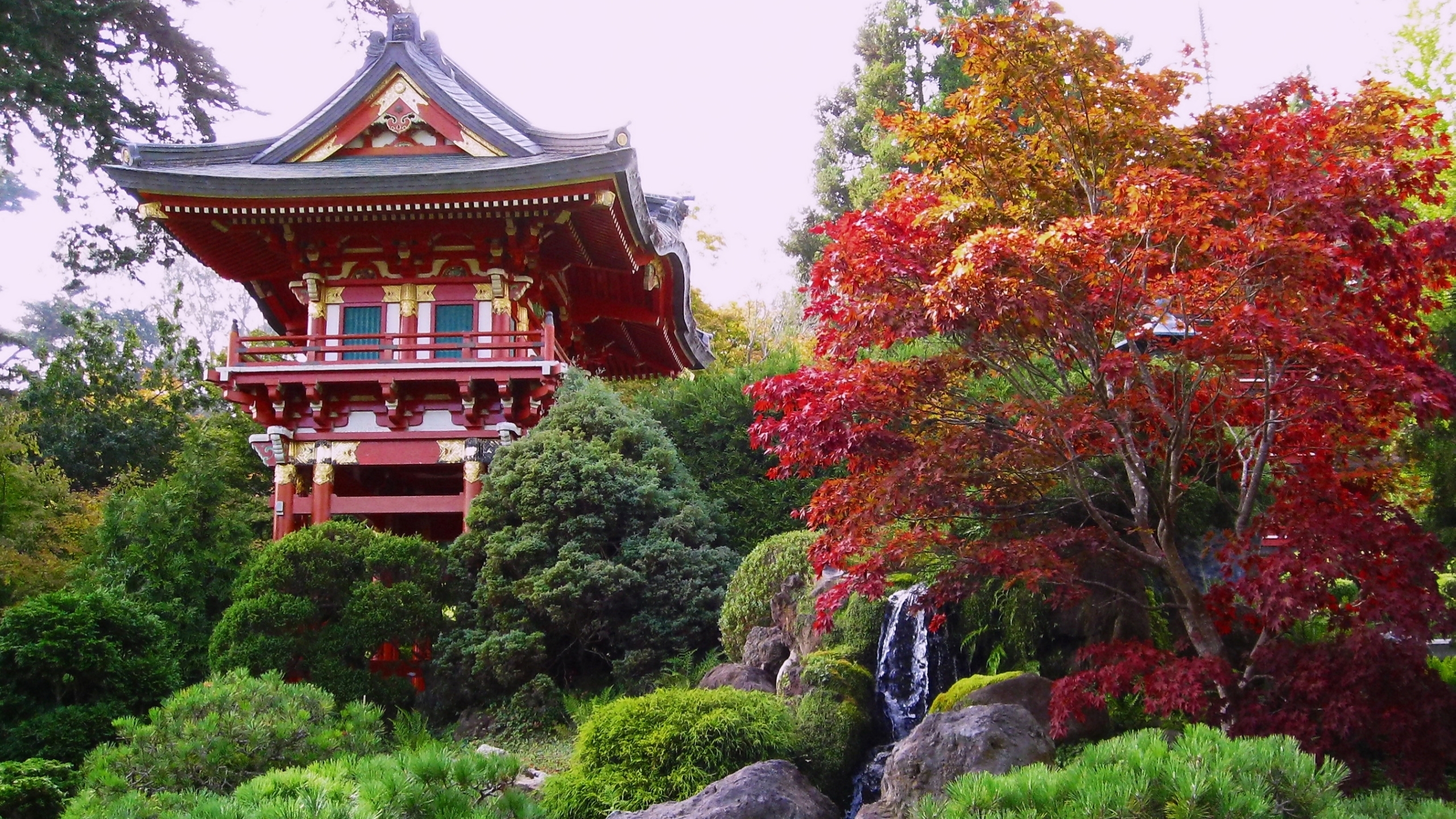 Golden Gate Park, Japanese Tea Garden - HD Wallpaper 