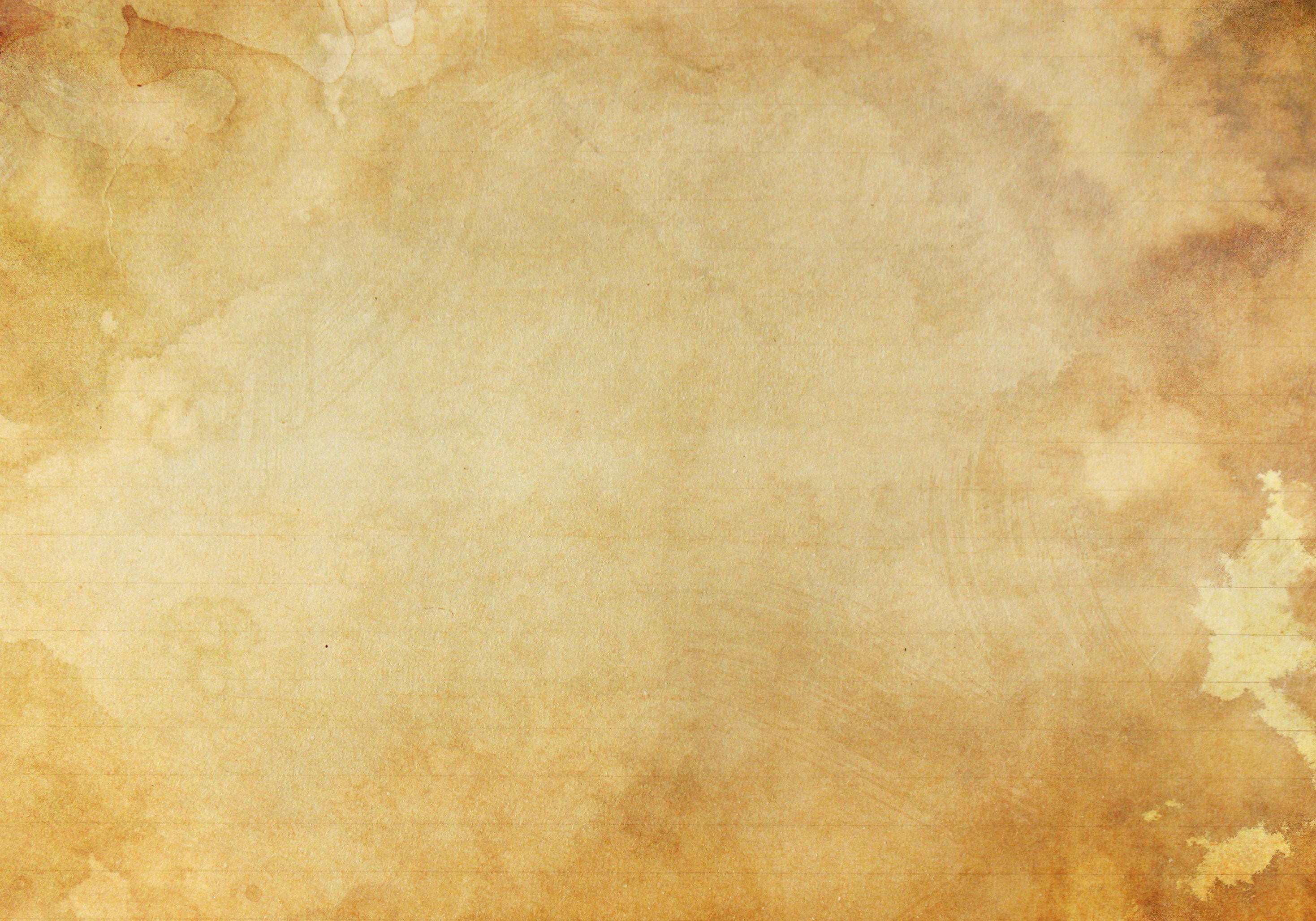 Fondo Hoja Vieja - HD Wallpaper 