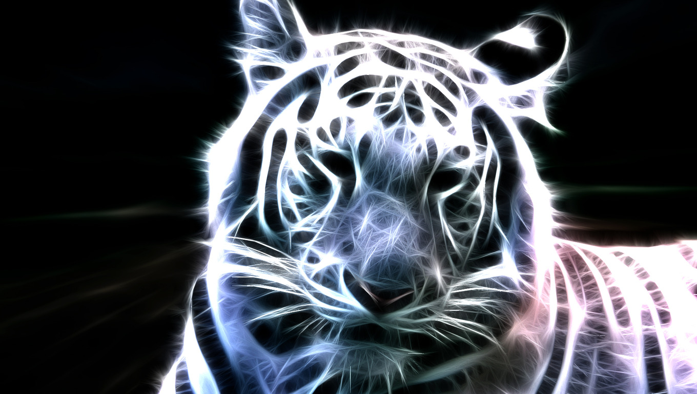 Baby White Tigers Wallpaper - Cool White Bengal Tiger - HD Wallpaper 