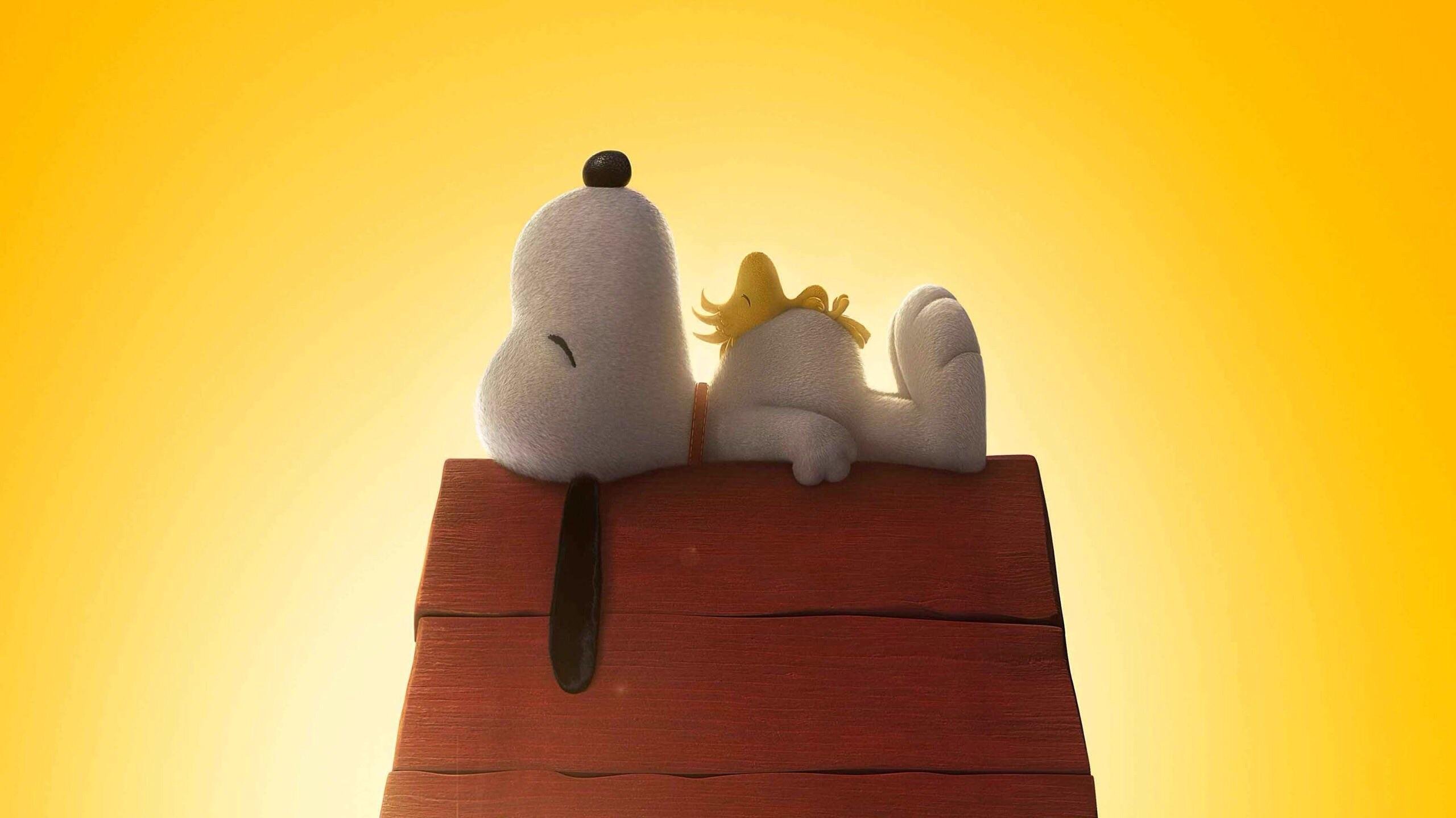 Snoopy Wallpaper 4k - HD Wallpaper 