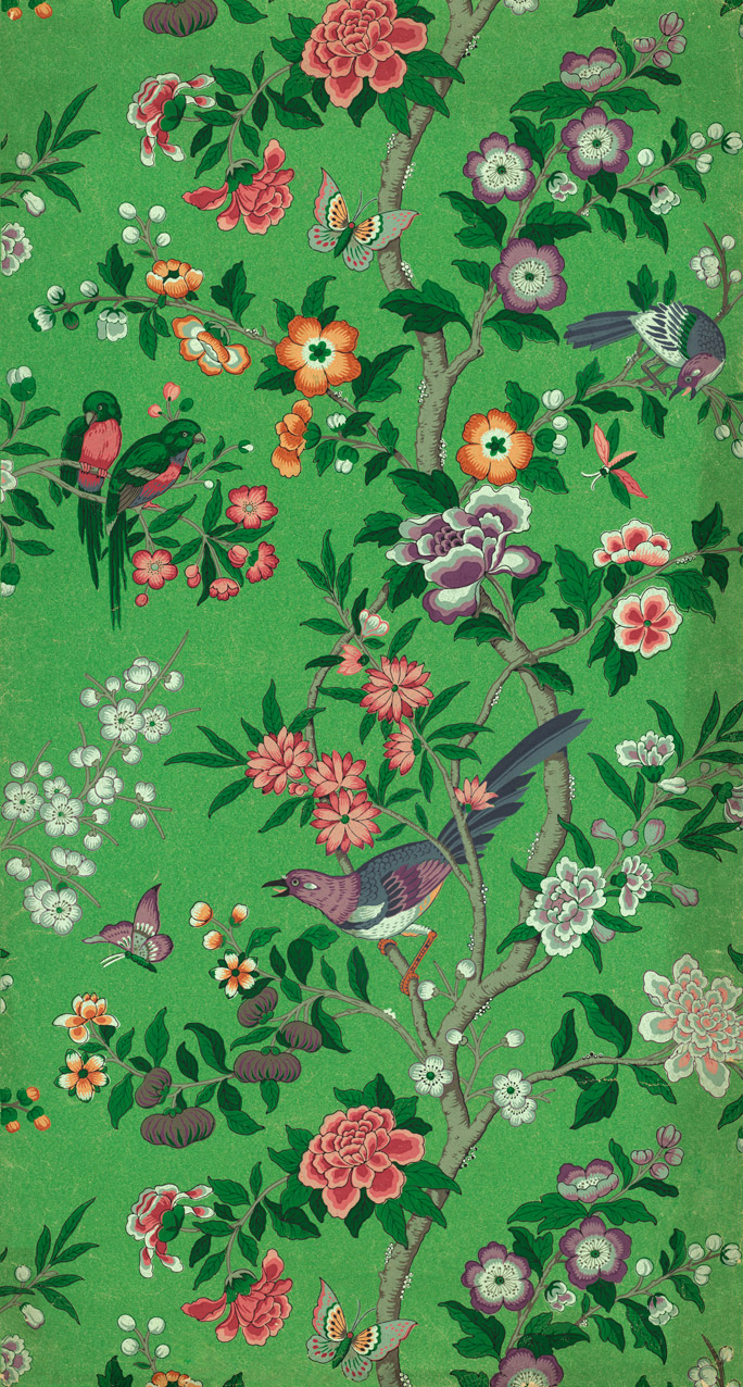 Turner William Chinese Magpie - HD Wallpaper 