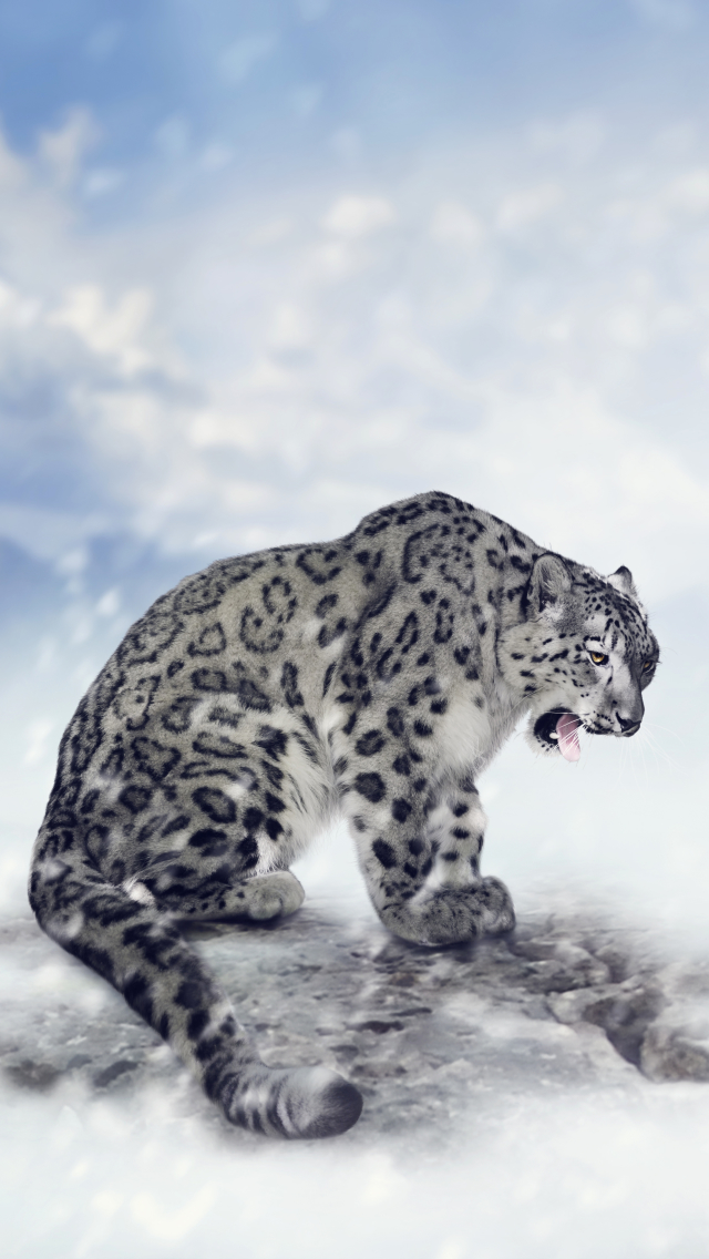 Snow Leopard Wallpapers For Mobile - HD Wallpaper 