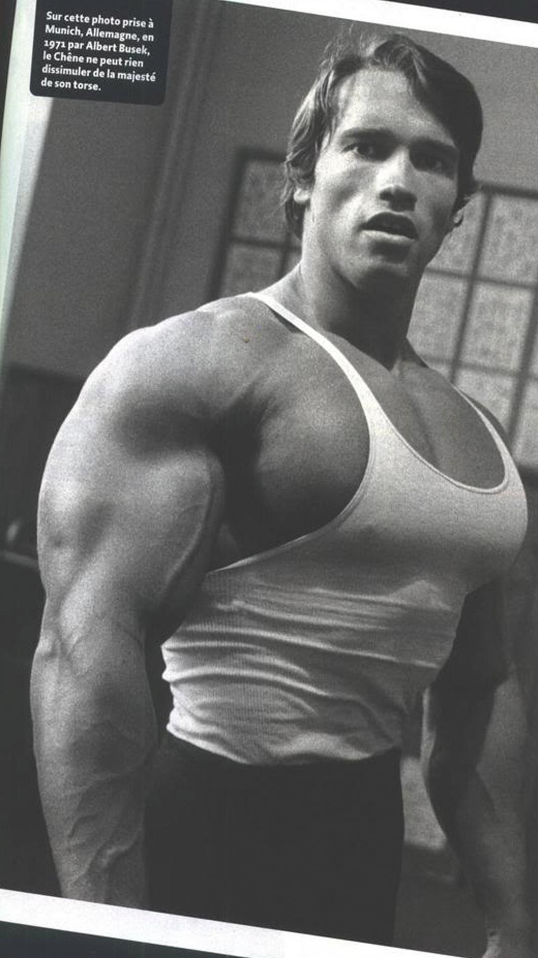 Training Arnold Schwarzenegger Wallpaper For Iphone - Rest Day What Muscle - HD Wallpaper 