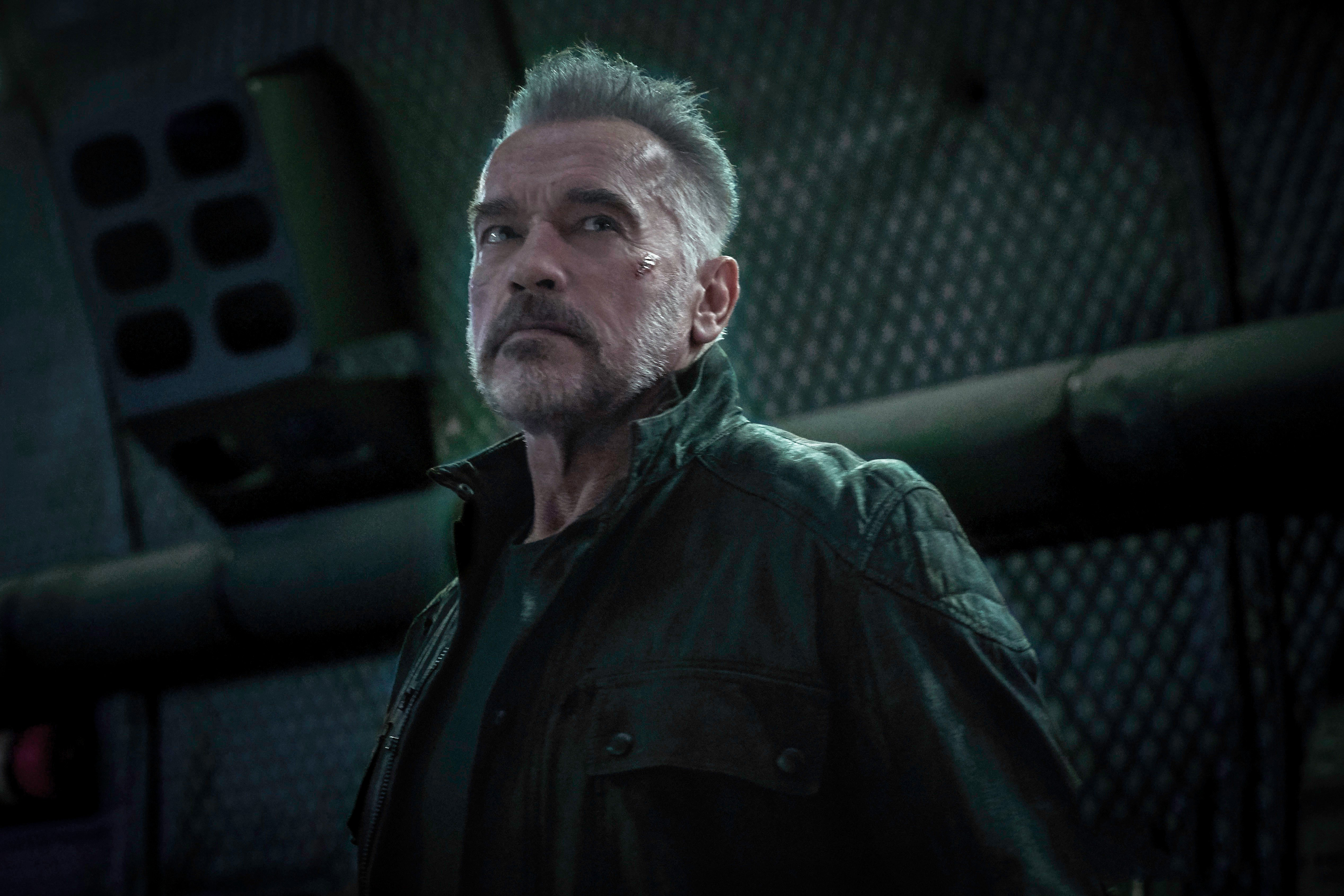 Arnold Schwarzenegger - HD Wallpaper 